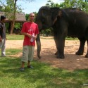 Trekking avec et sans éléphant au laos