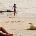 Noel sur la plage de Koh Samet en Thailande