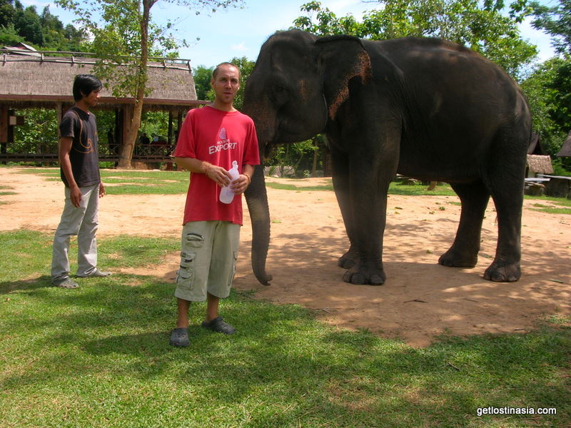 Luang Prabang trekking with elephant