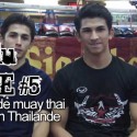 Les Pinto, des champions français de boxe thaïlandaise et Koh Chang