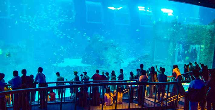 sentosa aquarium singapore