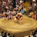 Sumo season – dos koi! – en direct du Japon